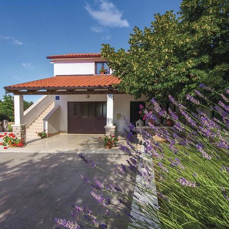 Amazing Apartment In Pazin With Wifi Katun Lindarski Eksteriør bilde